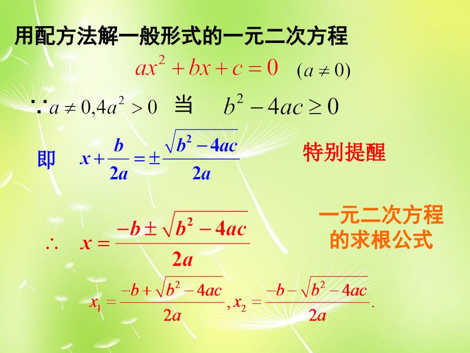 北师大初中数学九上《2.3 用公式法求解一元二次方程》PPT课件 (13)_第4页