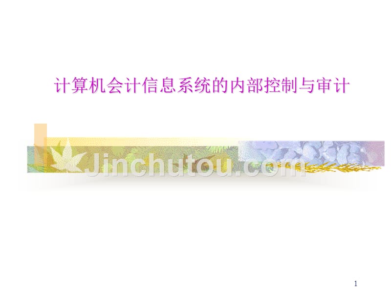 计算机会计信息系统的内部控制与审计的一个入门级课程_第1页