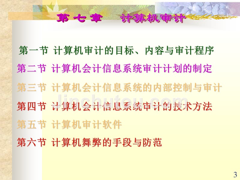 计算机会计信息系统的内部控制与审计的一个入门级课程_第3页