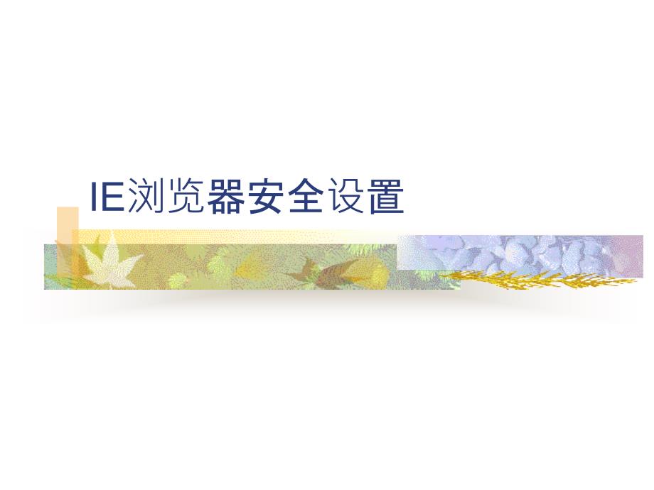 ie浏览器安全设置概要_第1页