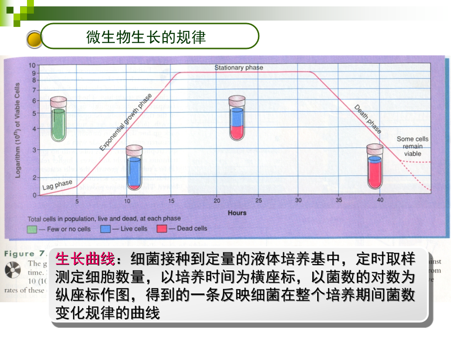 第四章酶学概论_第4页