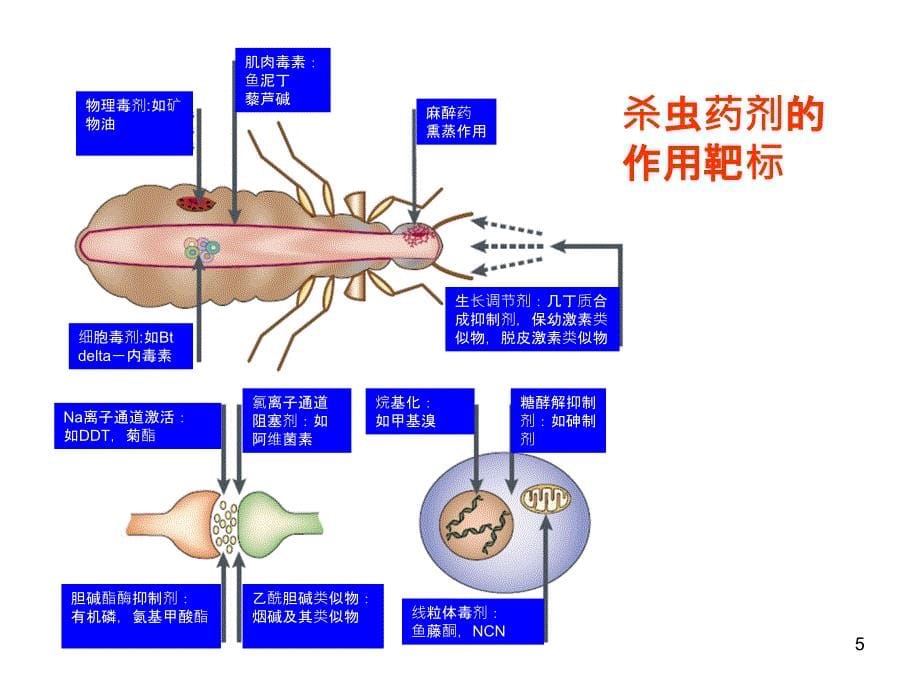 康苋和吡蚜酮_第5页