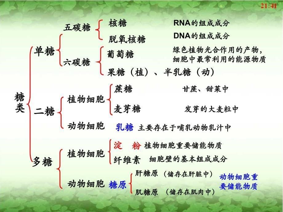 1-2-4细胞中的糖类和脂质概要_第5页