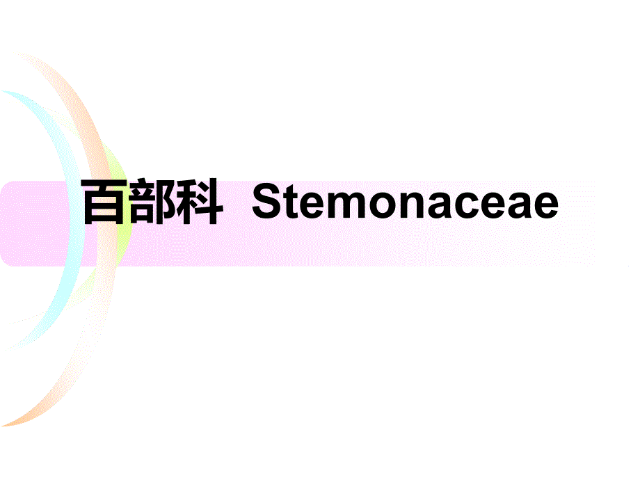 百部科stemonaceae_第1页