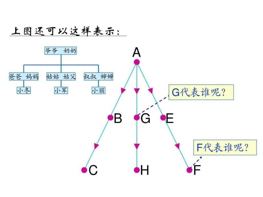 北师大版六年级上册数学成员间的关系优秀课件_第5页