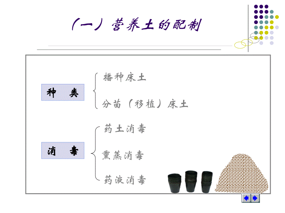 蔬菜育苗技术ppt_第3页