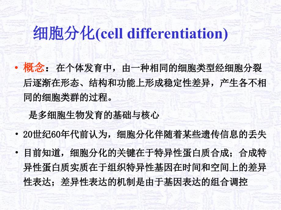 细胞生物学12-细胞分化_第2页