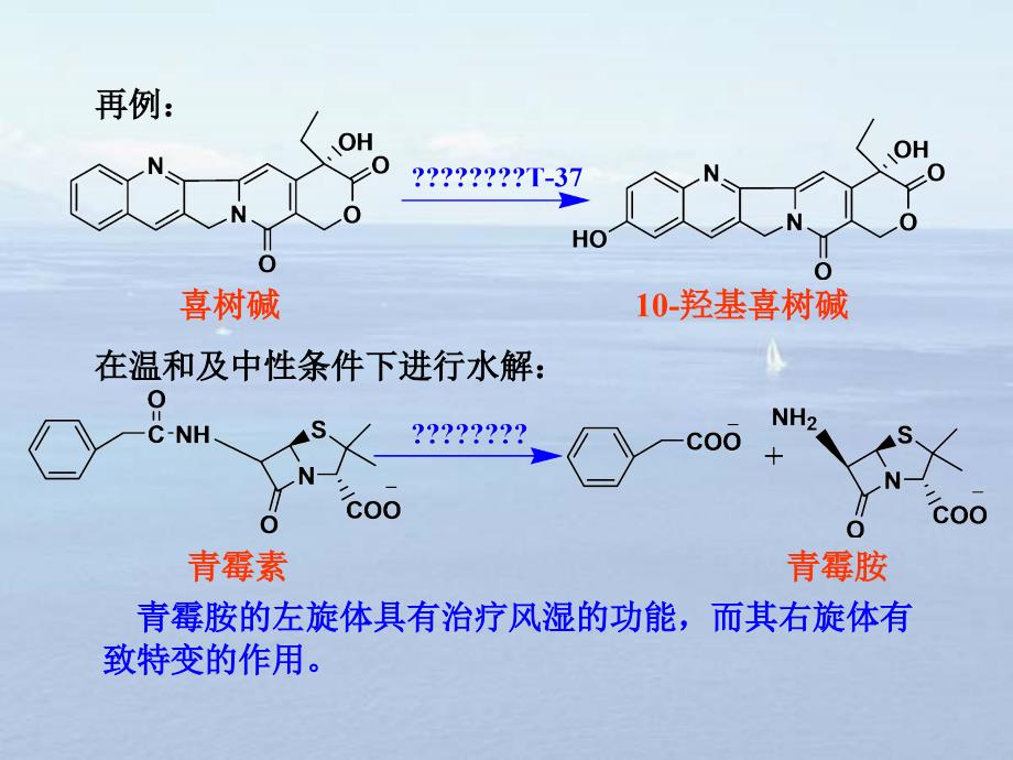 第7次课天然产物生物转化1_第3页