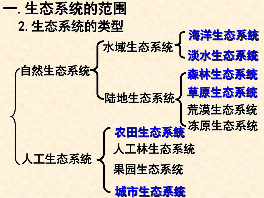 高中生物必修三生态系统的结构(精品课件)_第4页