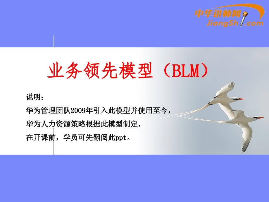 业务领先模型(blm)-中华讲师网概要_第1页