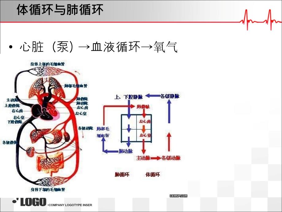 关于cpr的学习和讨论_第2页