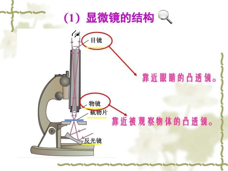 第5节显微镜和望远镜_第5页