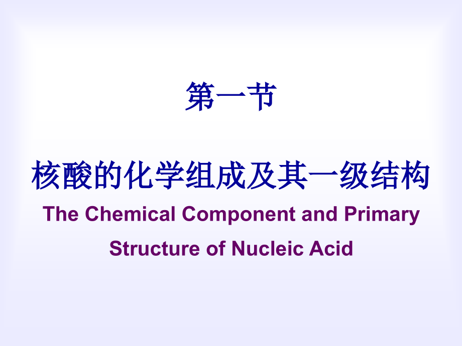 第02章核酸的结构与功能4_第4页