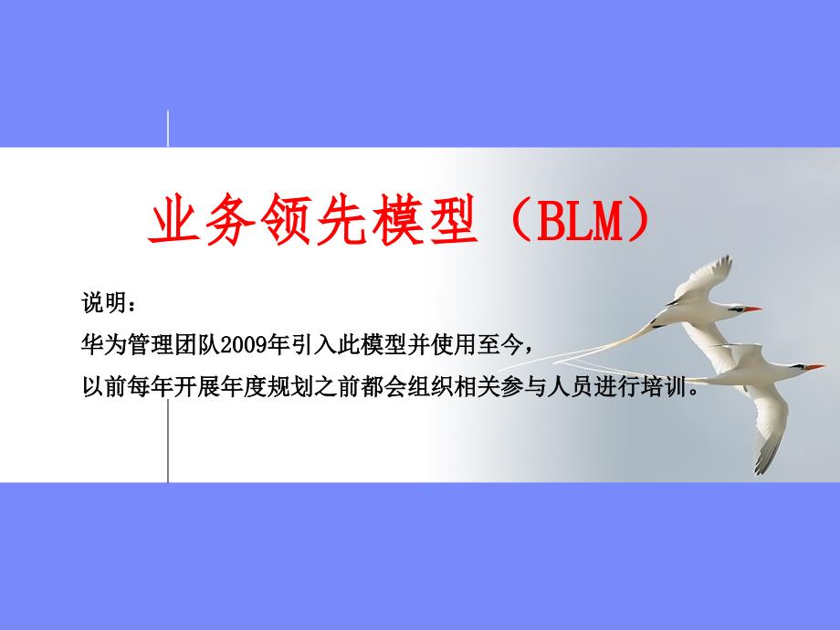 业务领先模型（blm模型）.华为引入的年度规划思路_第1页