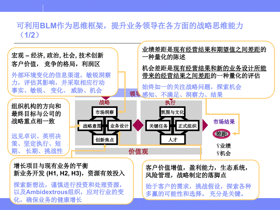 业务领先模型（blm模型）.华为引入的年度规划思路_第3页