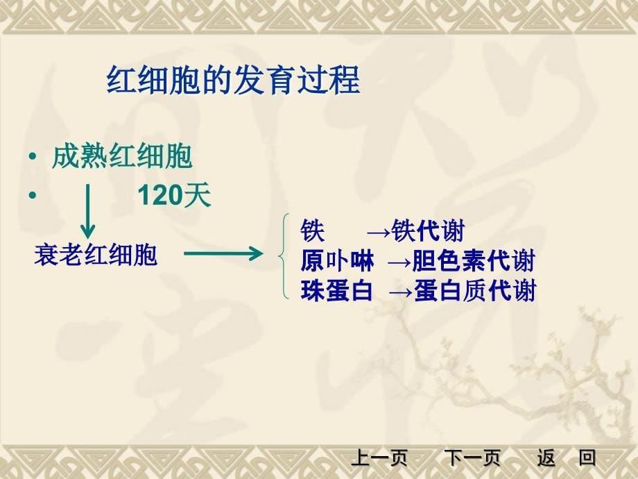 红细胞检验 医学技术学院_第5页