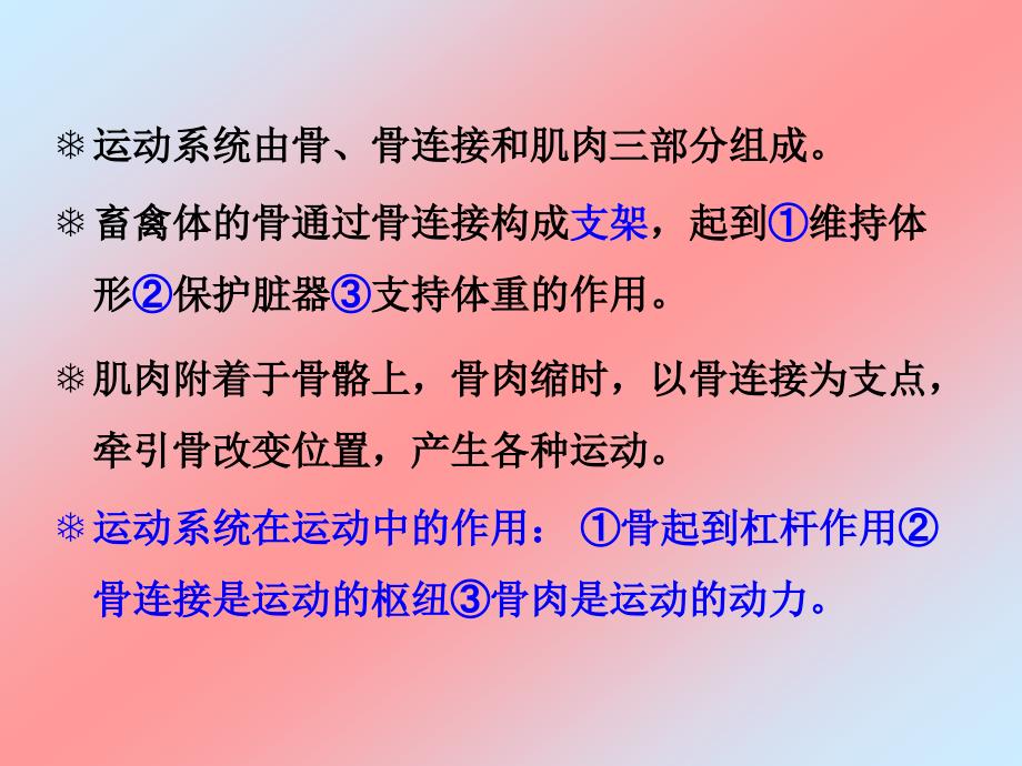 畜禽运动系统_第2页