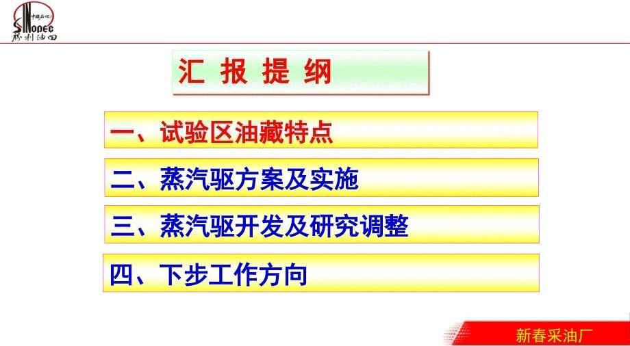 浅薄层超稠油水平井蒸汽驱技术进展新春_第5页