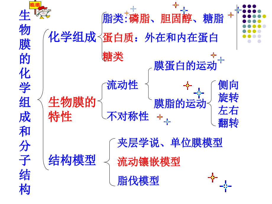 第三章细胞膜大分子运输及细胞表面概要_第2页