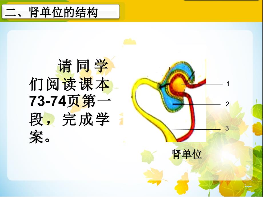 人体内废物的排出——尿的形成概要_第4页