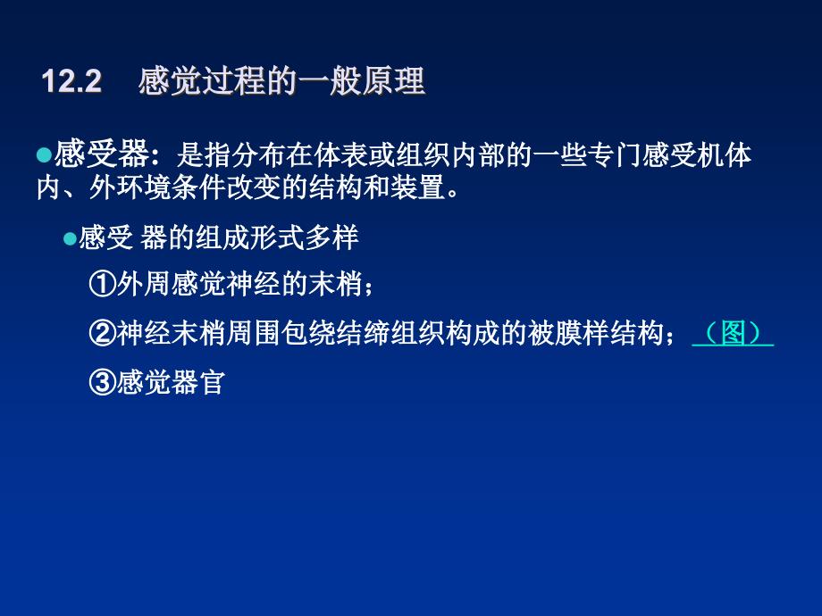 第十二章_神经系统的感觉机能与感觉器官_第3页