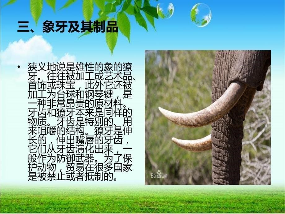 近年走私案例分析讲义_第5页