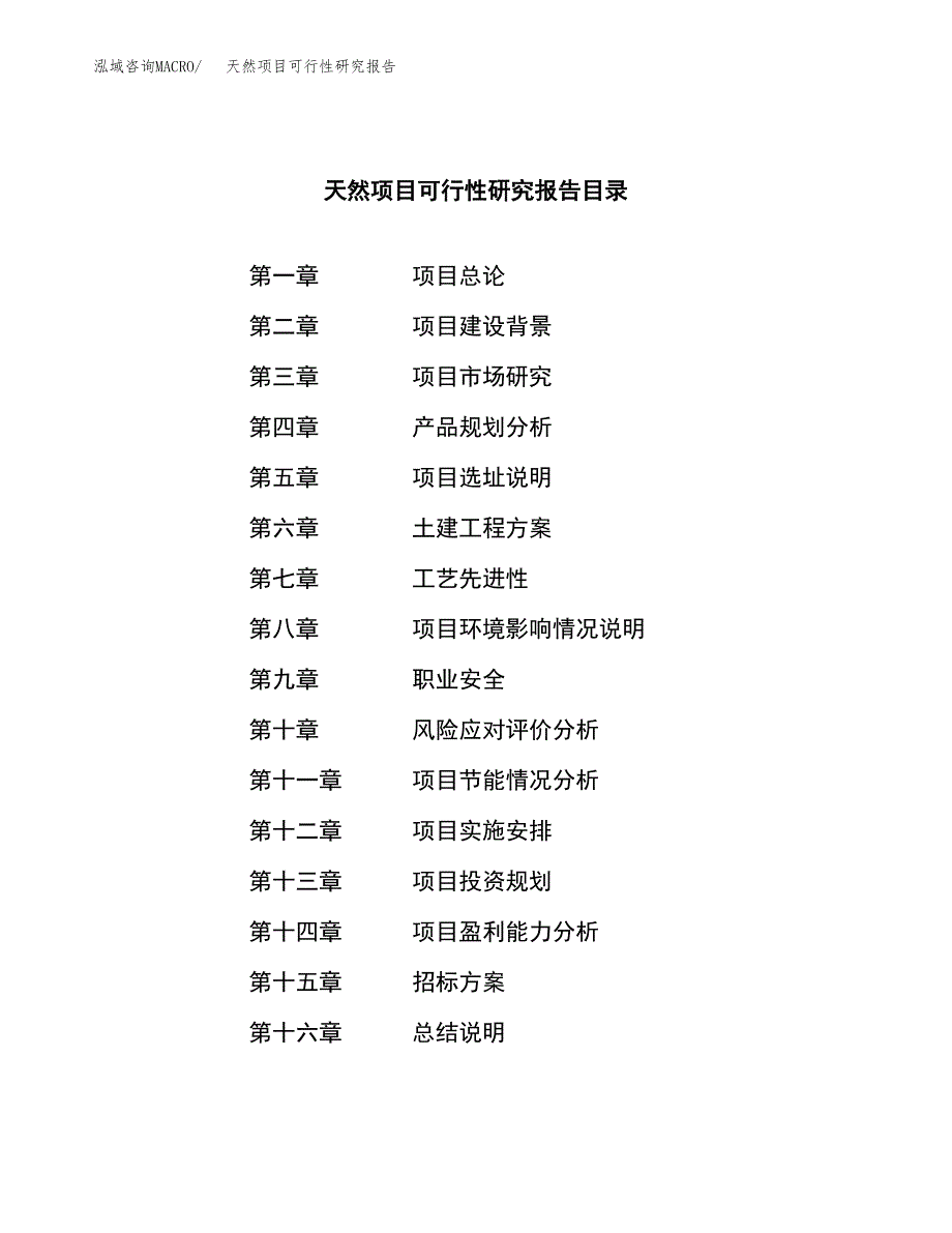 天然项目可行性研究报告（总投资19000万元）（86亩）_第2页