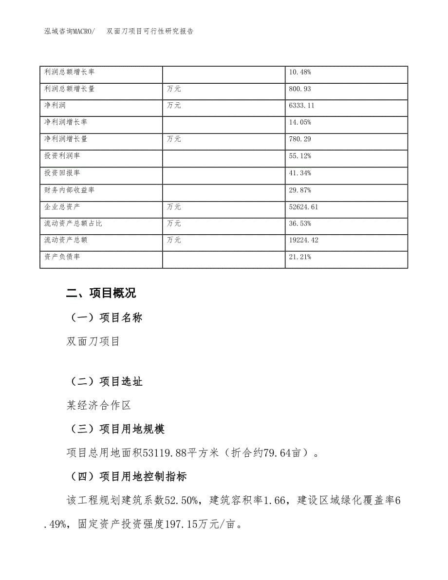 双面刀项目可行性研究报告（总投资21000万元）（80亩）_第5页