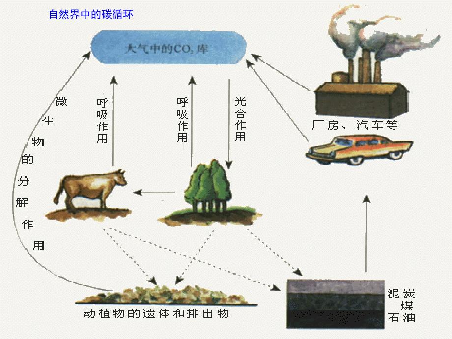 第39课 物质间的循环与转化讲义_第3页