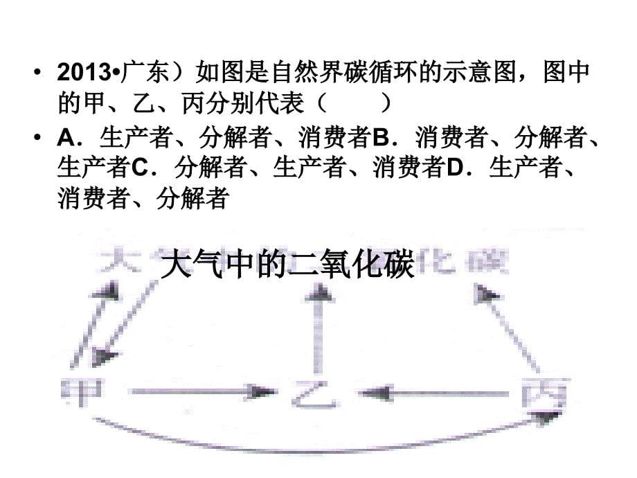 第39课 物质间的循环与转化讲义_第5页