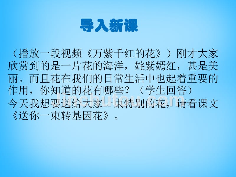 苏教初中语文八上《29送你一束转基因花》PPT课件 (4)_第2页