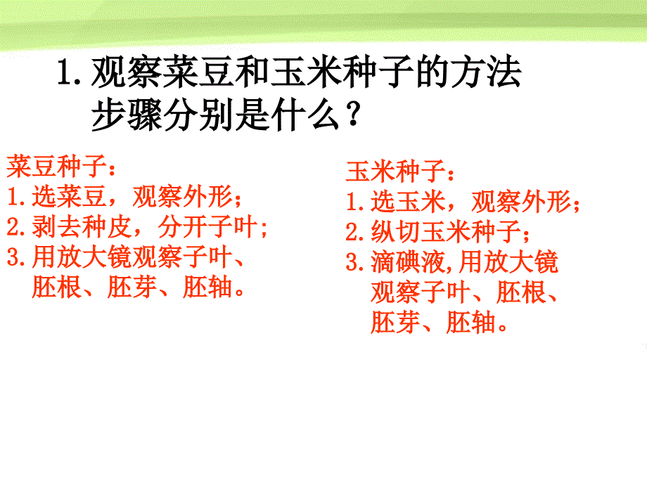 第三节果实和种子的形成第二课时_第2页