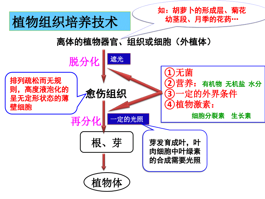 专题2 细胞工程：212植物细胞工程的实际应用_第2页