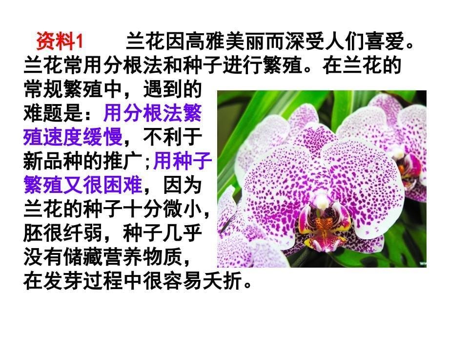 专题2 细胞工程：212植物细胞工程的实际应用_第5页