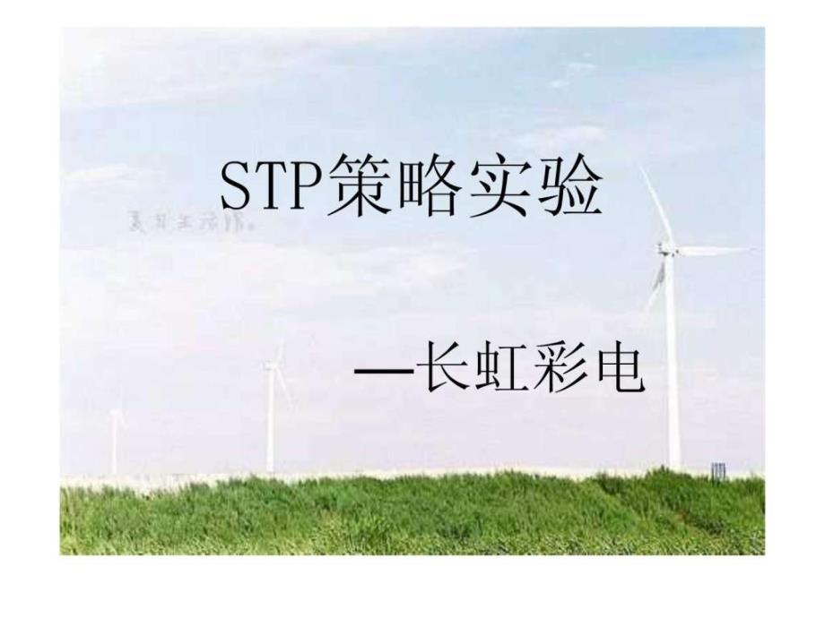 stp策略长虹彩电_第2页
