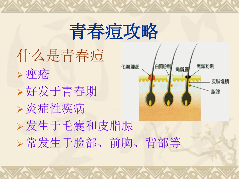 皮肤学与皮肤美容学课件(第四讲)_第1页