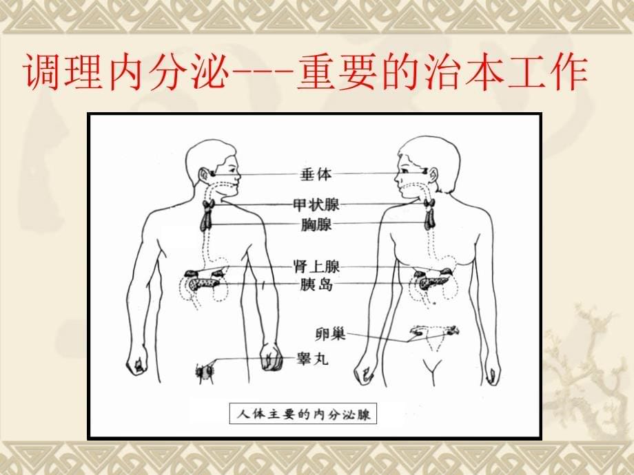 皮肤学与皮肤美容学课件(第四讲)_第5页