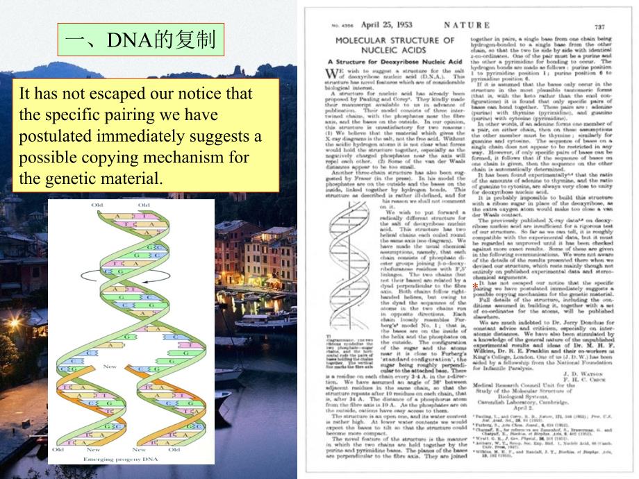 王镜岩生物化学经典课件15dna复制和重组考研必备学生物化学必备_第2页