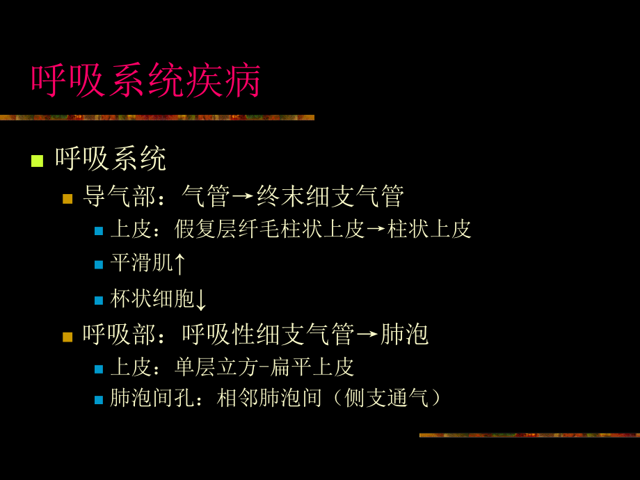 郑州大学临床医学病理学课堂病理呼吸系统疾病_第2页