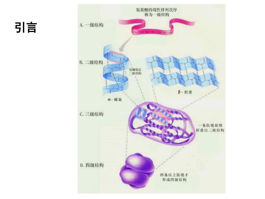 蛋白结构数据库_第3页