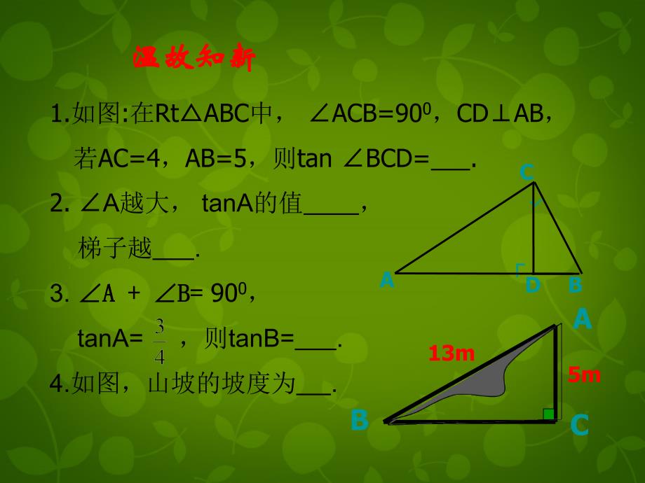 北师大初中数学九下《1.1锐角三角函数》PPT课件 (1)_第2页