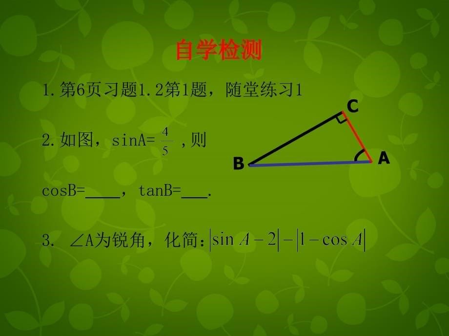 北师大初中数学九下《1.1锐角三角函数》PPT课件 (1)_第5页