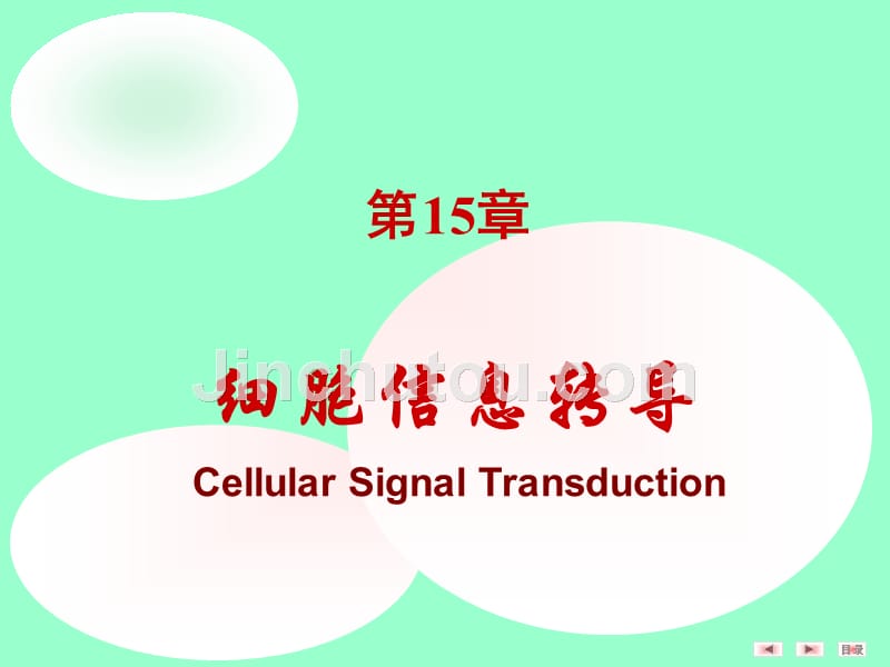 第15章-细胞信号转导_第1页