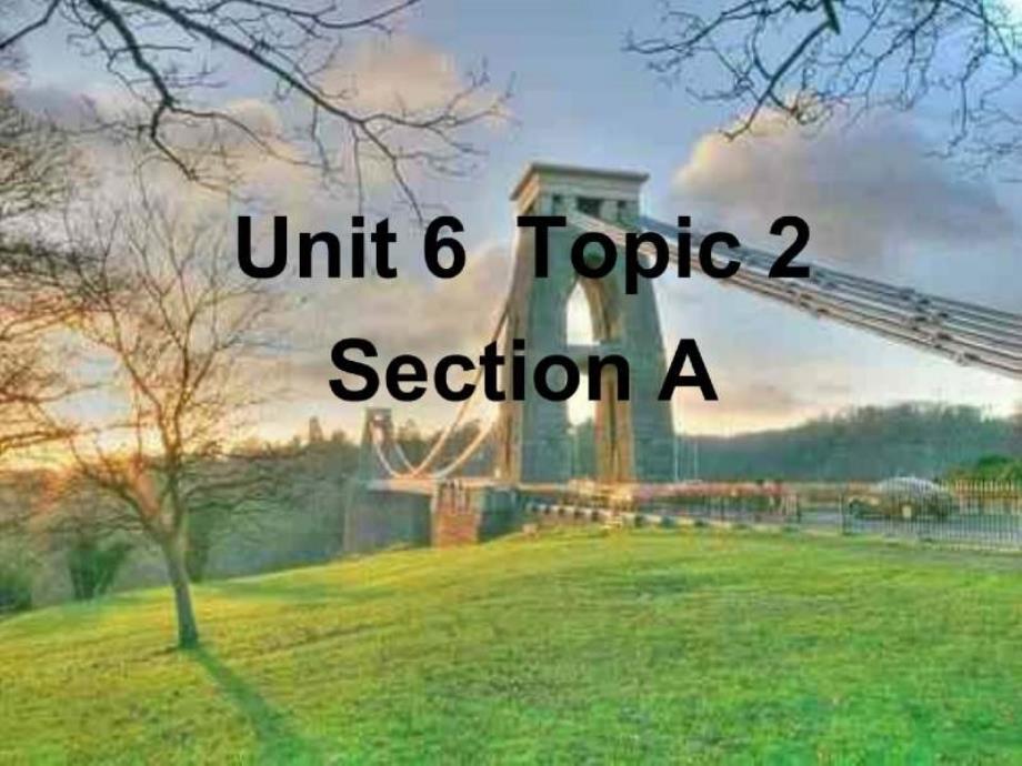 unit 6 topic 2 section a 英语 九年级 下学期_第1页