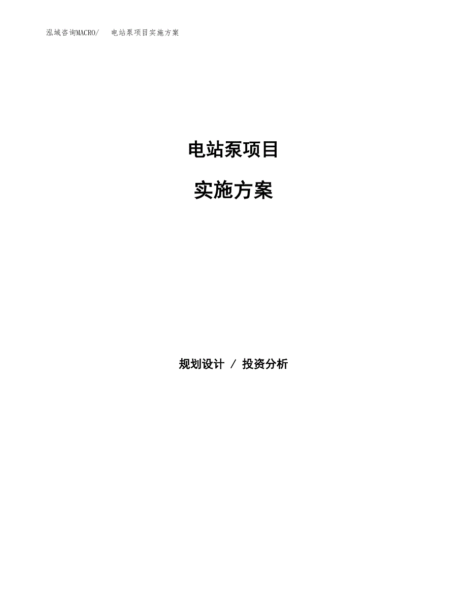 电站泵项目实施方案(参考模板).docx_第1页