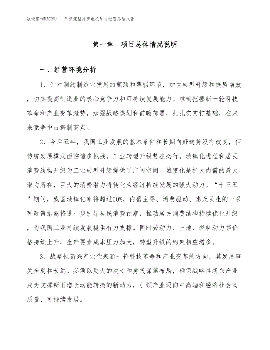 三相笼型异步电机项目经营总结报告范文模板.docx_第2页