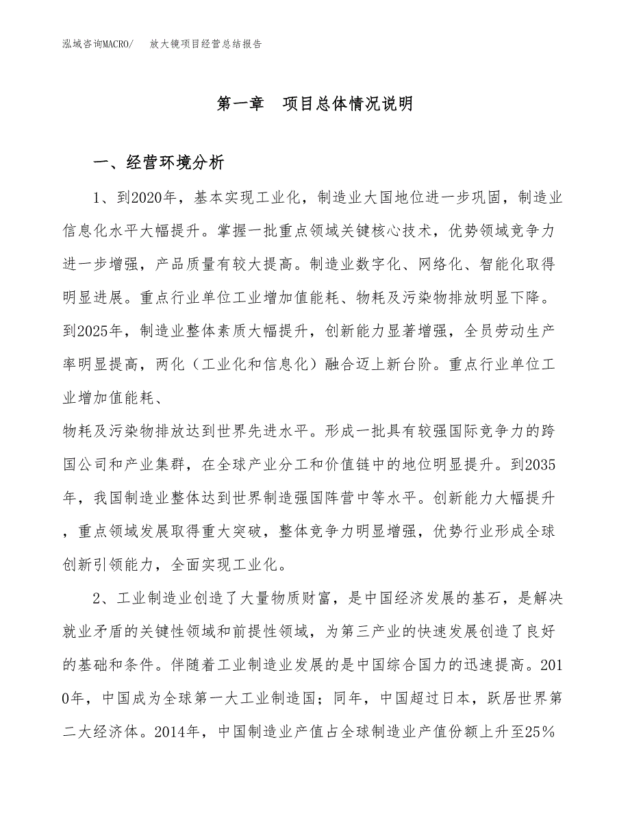 放大镜项目经营总结报告范文模板.docx_第2页