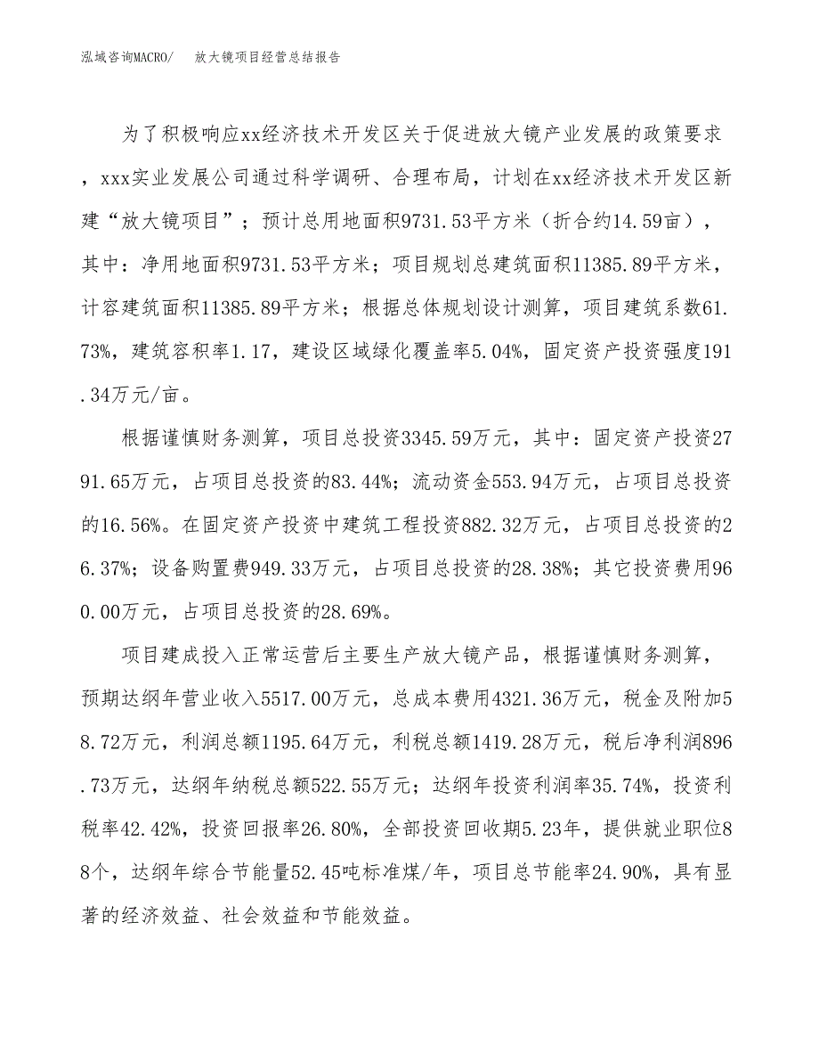 放大镜项目经营总结报告范文模板.docx_第4页