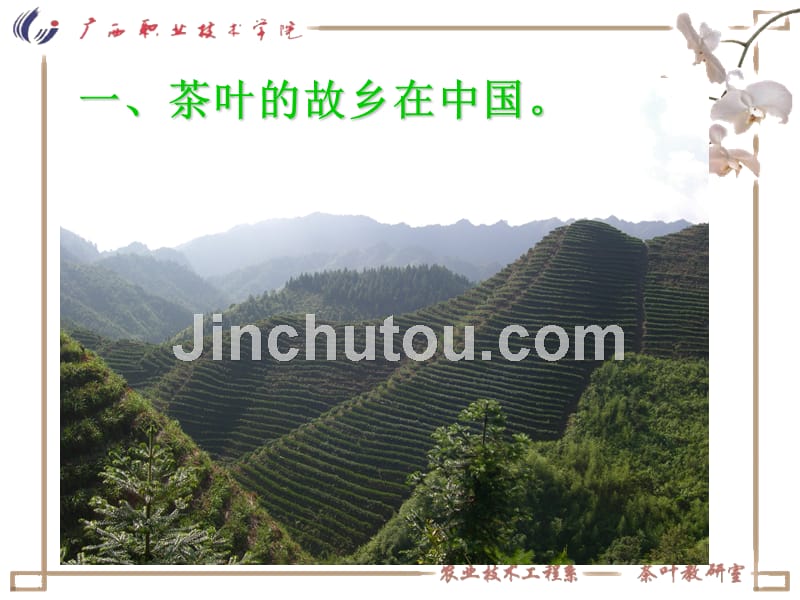 中国茶艺-茶叶的分类加工评审等专业知识_第4页