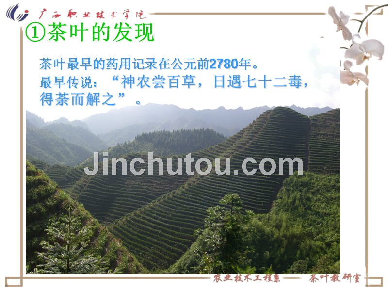 中国茶艺-茶叶的分类加工评审等专业知识_第5页